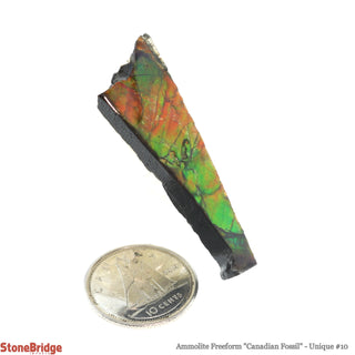 Ammolite Freeform Canadian Fossil U#9    from The Rock Space