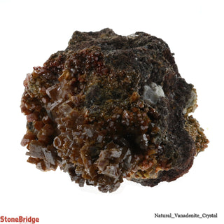 Vanadinite Rough Specimen U#5 - 1 3/4"    from The Rock Space