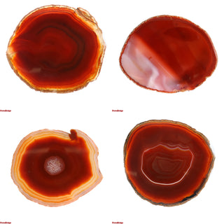 Agate Slices - 4 1/2" to 6" Red   from The Rock Space