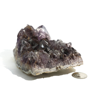 Amethyst Clusters #3 - 4" to 5"    from The Rock Space