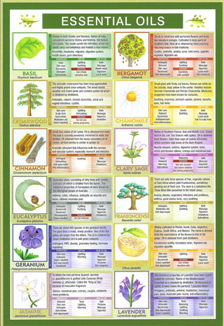 QuickStudy Guide - Essential Oils    from The Rock Space