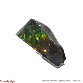 Ammolite Freeform Canadian Fossil U#11    from The Rock Space