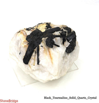 Black Tourmaline on Quartz Matrix U#4    from The Rock Space
