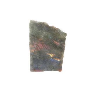 Labradorite Top Polished Slice #4    from The Rock Space