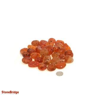 Carnelian B Tumbled Stones - Brazil    from The Rock Space