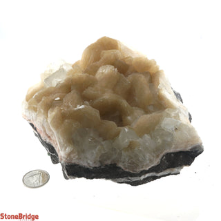 Zeolite on Basalt Cluster - APOPHYLLITE & STILBITE U#57    from The Rock Space