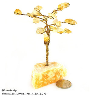 Citrine Wired Gem Tree 4" Tall    from The Rock Space