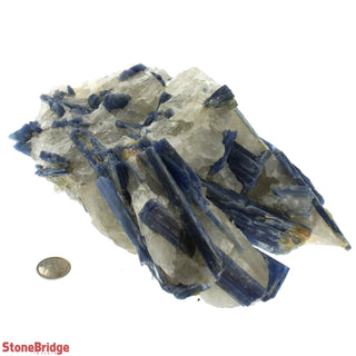 Kyanite Blue Cluster E #9    from The Rock Space