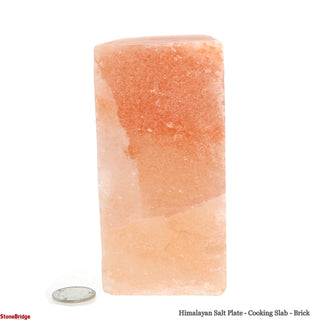 Himalayan Salt Plate - Cooking Slab - Brick    from The Rock Space