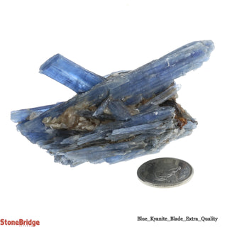 Blue Kyanite E Cluster #3 - 60g to 99g    from The Rock Space