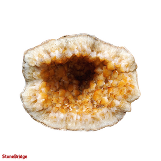 Citrine Geode U#38    from The Rock Space