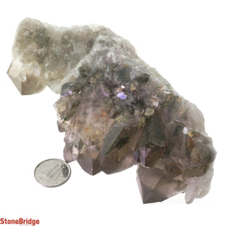 Inclusion Elestial Quartz Clusters #11 - 5"    from The Rock Space