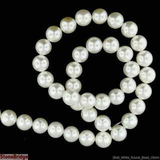 Shell, White - Round Strand 15" - 10mm    from The Rock Space