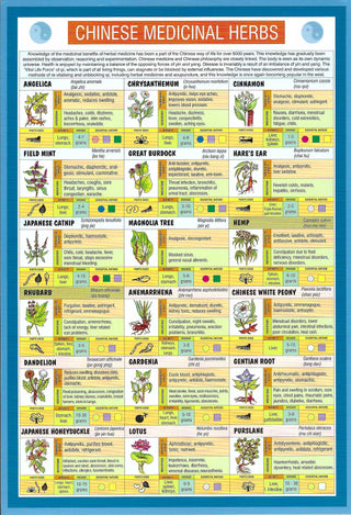 QuickStudy Guide - Chinese Medicinal Herbs    from The Rock Space