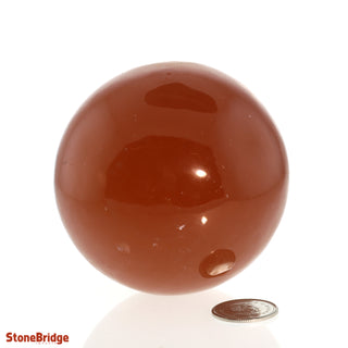 Calcite Honey Sphere - Medium #1 - 2 3/4"
