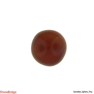 Carnelian Sphere - Tiny    from The Rock Space