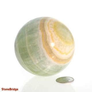 Calcite Green Sphere - Small #4 - 2 1/2"    from The Rock Space