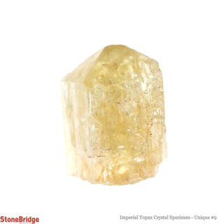 Imperial Topaz Specimen U#9 - 45ct    from The Rock Space
