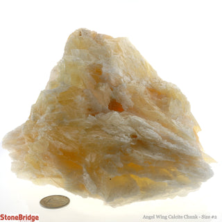Calcite Angel Wing Chunk #2    from The Rock Space