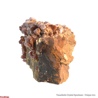 Vanadinite Specimen U#21 - 5 1/4"    from The Rock Space