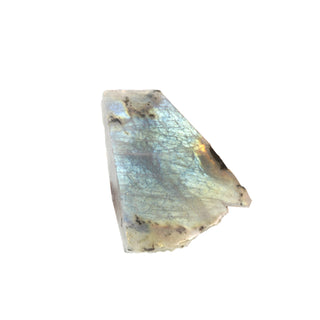 Labradorite Top Polished Slice #1    from The Rock Space