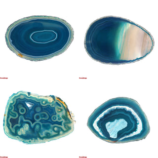 Agate Slices #2 - 2 1/2" to 3 1/2" Long    from The Rock Space