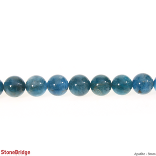 Apatite - Round Strand 7" - 8mm    from The Rock Space