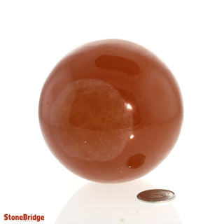 Calcite Honey Sphere - Medium #3 - 2 3/4"