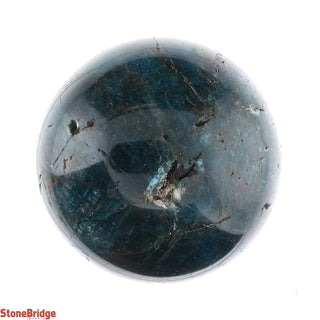 Apatite Blue Sphere - Small #2 - 2 1/4"    from The Rock Space