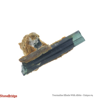Tourmaline Elbaite With Albite U#4    from The Rock Space