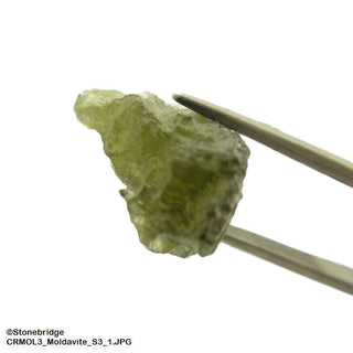 Moldavite Crystal #3 - 1.5G to 1.9g    from The Rock Space