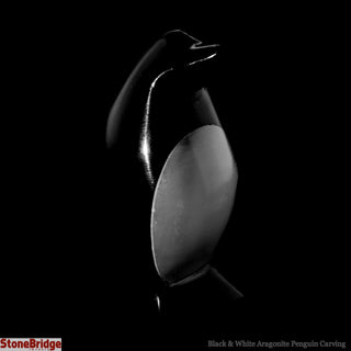 Black & White Aragonite Penguin Carving - 2 3/4" Tall    from The Rock Space