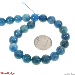 Apatite - Round Strand 7" - 8mm    from The Rock Space