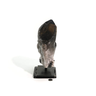 Smoky Quartz Cluster on Iron Stand U#36    from The Rock Space