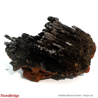 Goethite Mineral Cluster U#3    from The Rock Space