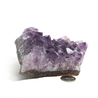 Amethyst Clusters #3 - 4" to 5"    from The Rock Space