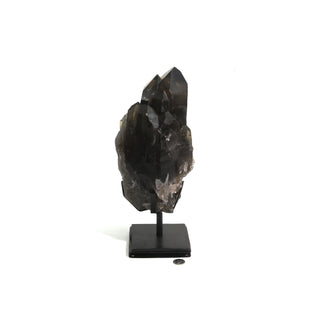 Smoky Quartz Cluster on Iron Stand U#50 - 9 1/4"    from The Rock Space