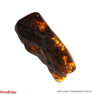 Amber Baltic Tumbled #2    from The Rock Space