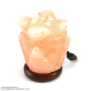 USB Salt Lamp - Flower    from The Rock Space