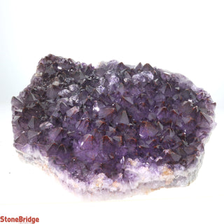 Amethyst Cluster Thunder Bay U#12 - 1.6Kg    from The Rock Space