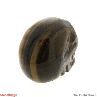 Tiger Eye Skull U#1    from The Rock Space