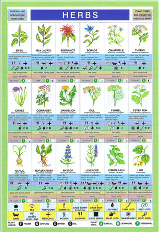 QuickStudy Guide - Herbs    from The Rock Space