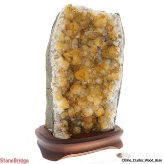 Citrine Cluster On Wood Base Unique #16 - 10" Tall    from The Rock Space