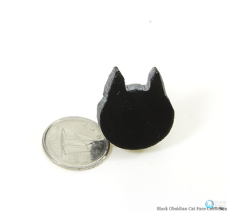 Black Obsidian Cat Cabochon - 3/4"    from The Rock Space